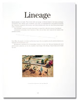 page detail